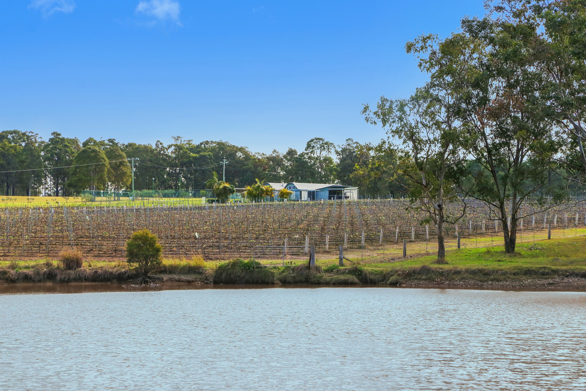 Hunter Valley Accommodation - Ironbark Hill Retreat - Pokolbin - Exterior