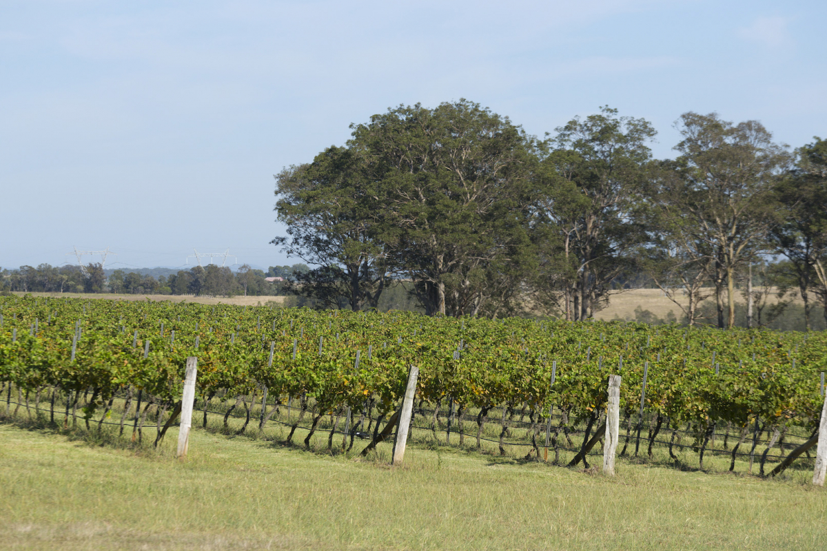 Hunter Valley Accommodation - King I - Pokolbin - all