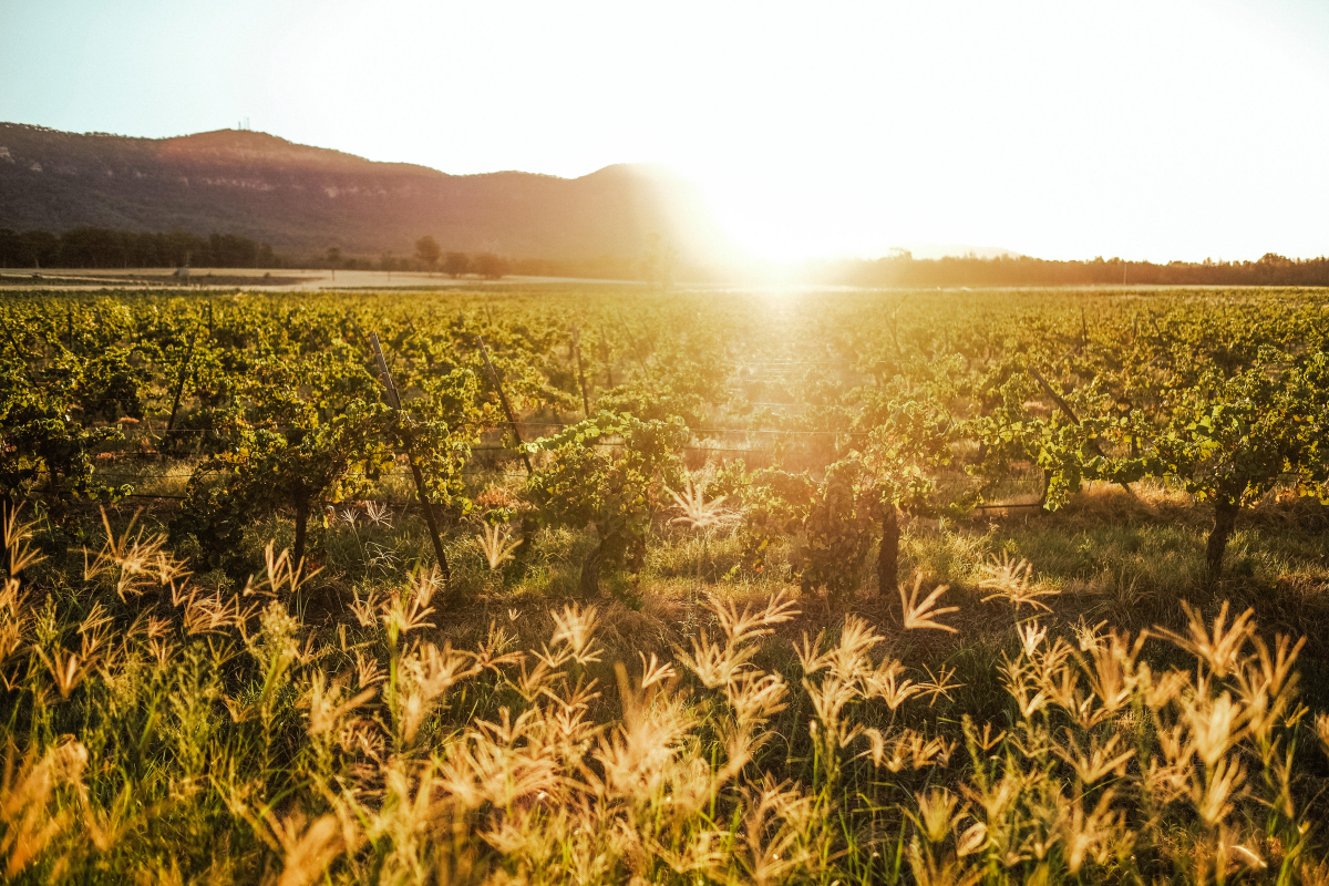 Hunter Valley Accommodation - Casuarina Estate - Themed Suite Love Boat - all