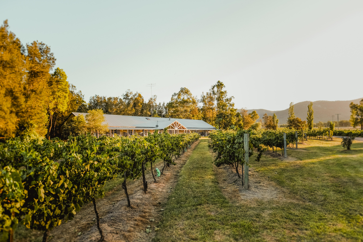 Hunter Valley Accommodation - Casuarina Estate - Themed Spa Suite Casablanca - all