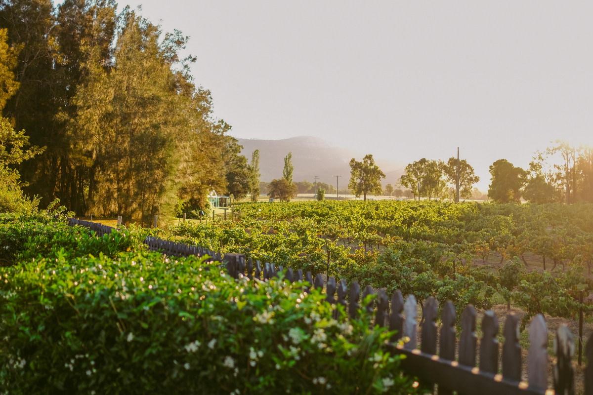 Hunter Valley Accommodation - Casuarina Estate - Themed Spa Suite Casablanca - all