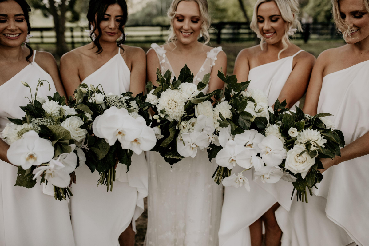 Hunter Valley Accommodation - Ravensdale Retreat - Yarramalong Valley - all