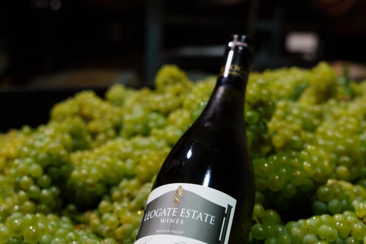 Hunter Valley Accommodation - The Gate House at Leogate Estate Wines - Pokolbin Hunter Valley - all