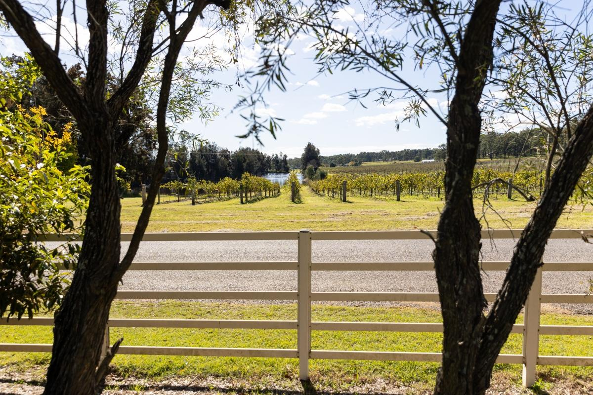 Hunter Valley Accommodation - Capercaillie House - Lovedale - all