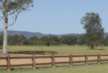 Hunter Valley Accommodation - King I - Pokolbin - all