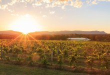 Hunter Valley Accommodation - Capercaillie House - Lovedale - all