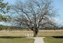 Hunter Valley Accommodation - Corunna Station 10 Bedrooms - Pokolbin - all