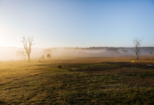 Hunter Valley Accommodation - Corunna Station 10 Bedrooms - Pokolbin - all