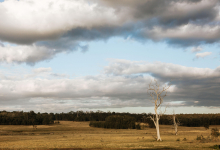 Hunter Valley Accommodation - Corunna Station 10 Bedrooms - Pokolbin - all