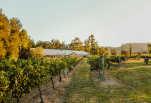 Hunter Valley Accommodation - Casuarina Estate - Themed Spa Suite Moulin Rouge - all