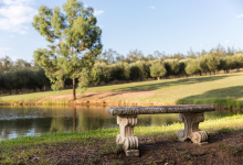 Hunter Valley Accommodation - Rocklee Grove - Broke - all