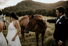 Hunter Valley Accommodation - Ravensdale Retreat - Yarramalong Valley - all