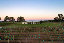 Hunter Valley Accommodation - The Gate House at Leogate Estate Wines - Pokolbin Hunter Valley - all