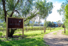 Hunter Valley Accommodation - Arenridge - Broke - all