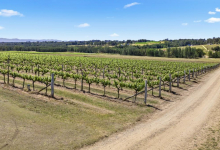 Hunter Valley Accommodation - Drury Lane Cottage - Pokolbin - all