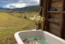 Hunter Valley Accommodation - Millfield Homestead - Millfield - all