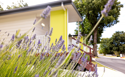 Tamar Superior Villa