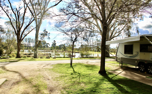 Caravan & Motorhome - Powered site